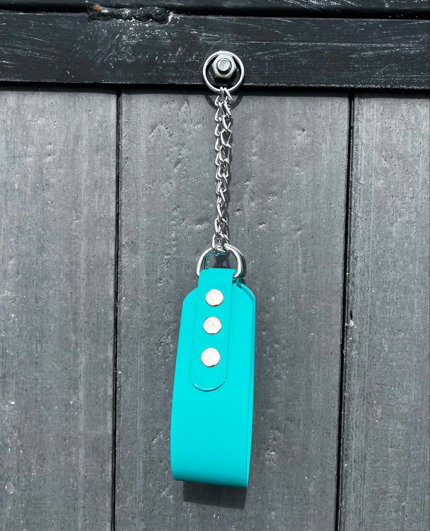 Hound Collars