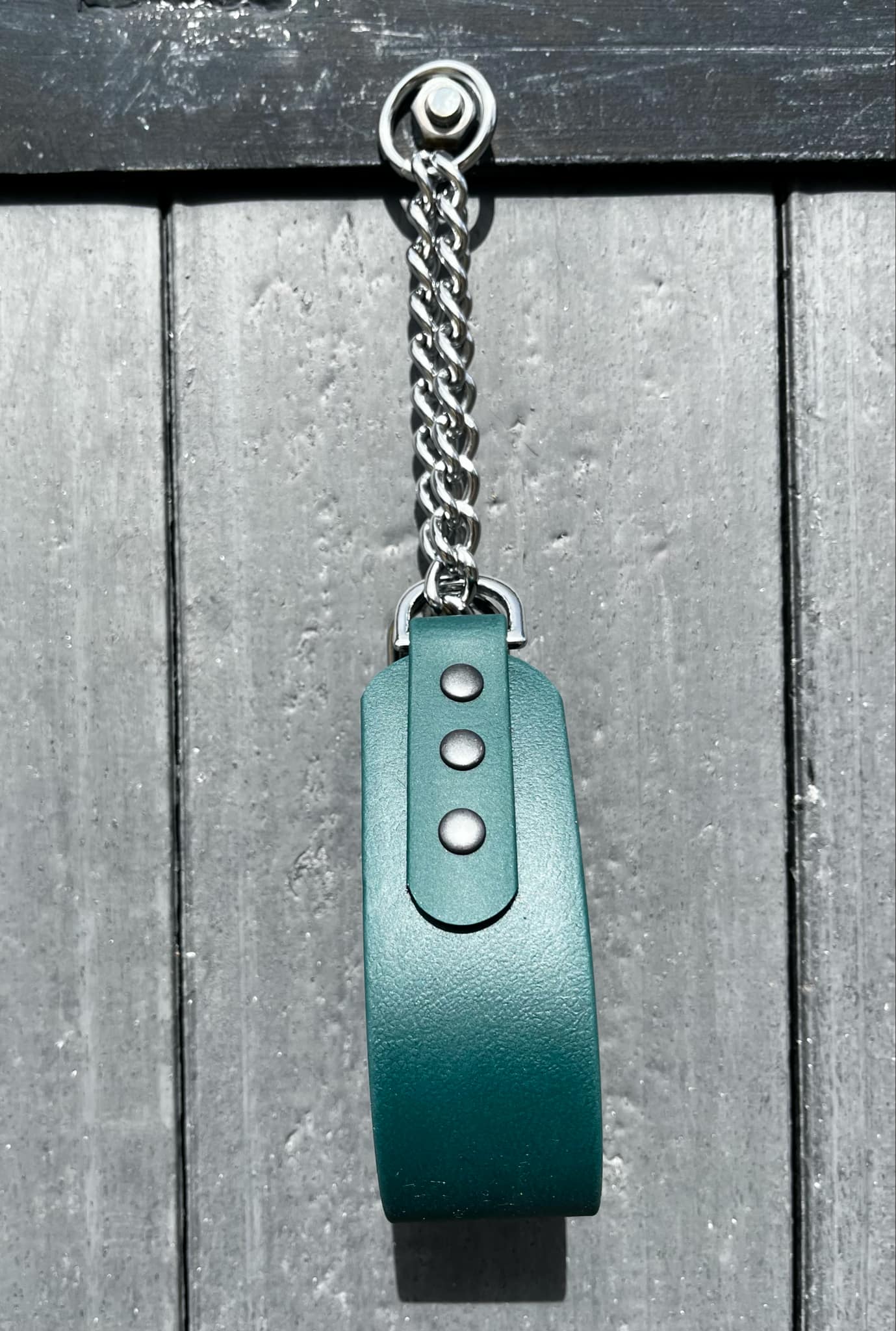 Hound Collars