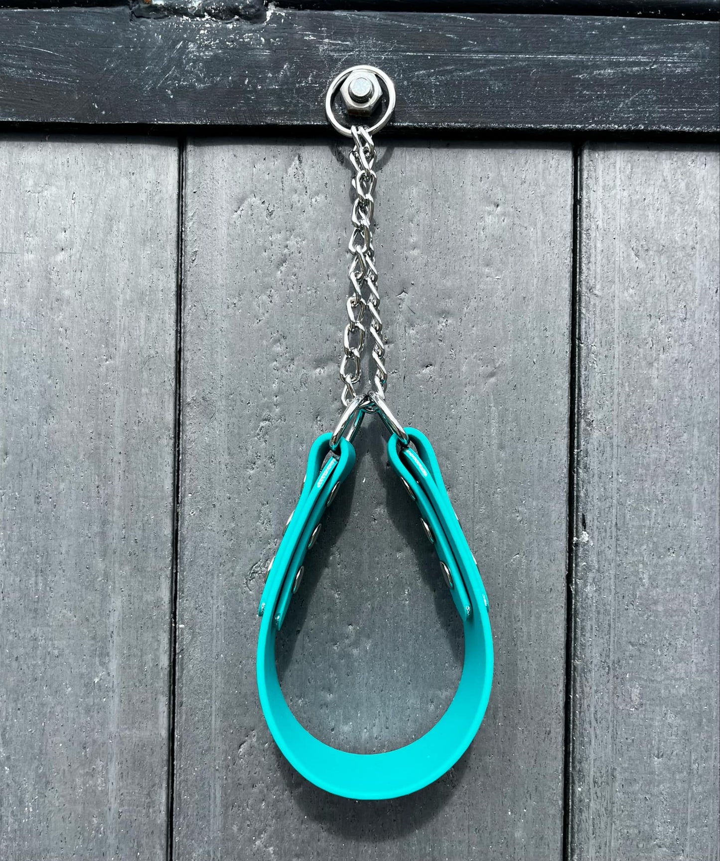 Hound Collars